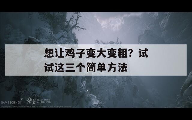 想让鸡子变大变粗？试试这三个简单方法